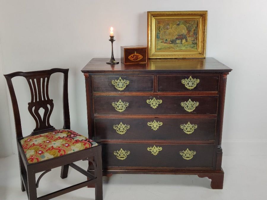 Laburnum Chest of Drawers