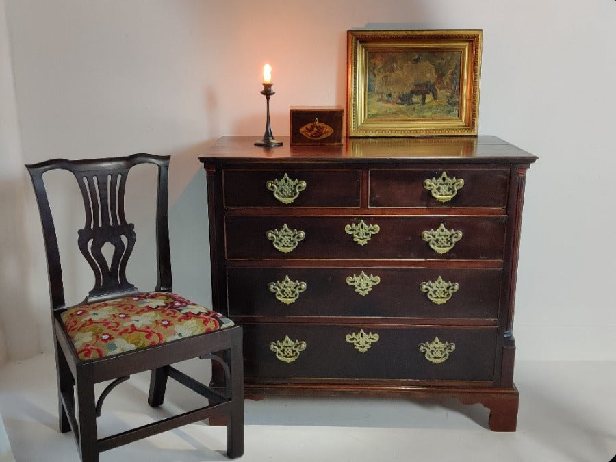 Laburnum Chest of Drawers