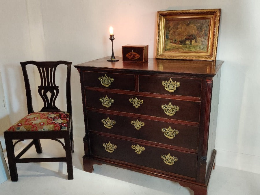 Laburnum Chest of Drawers