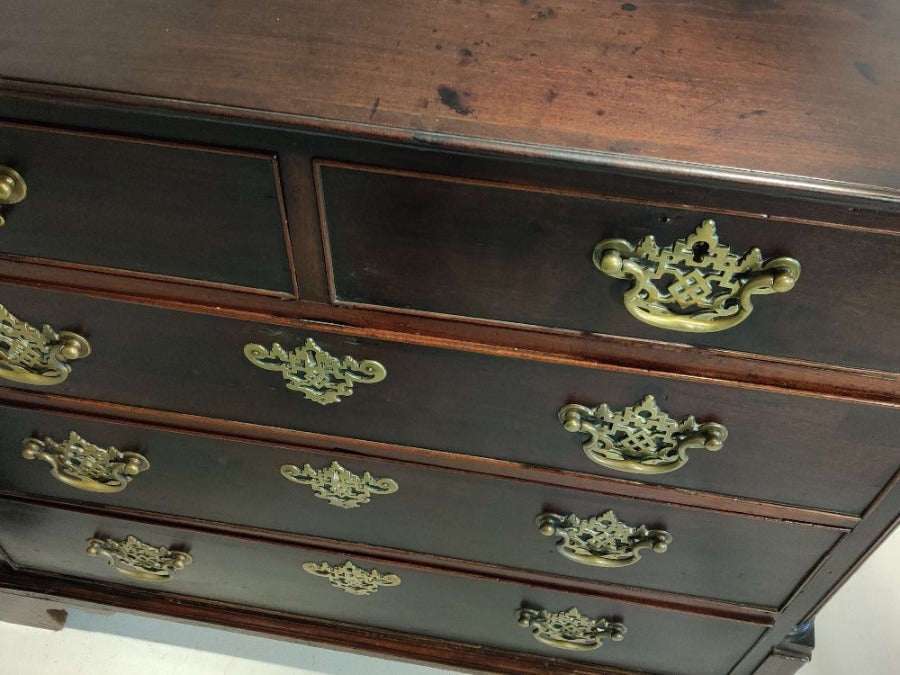 Laburnum Chest of Drawers