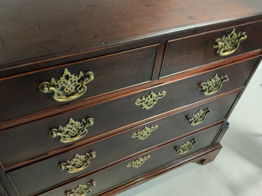 Laburnum Chest of Drawers
